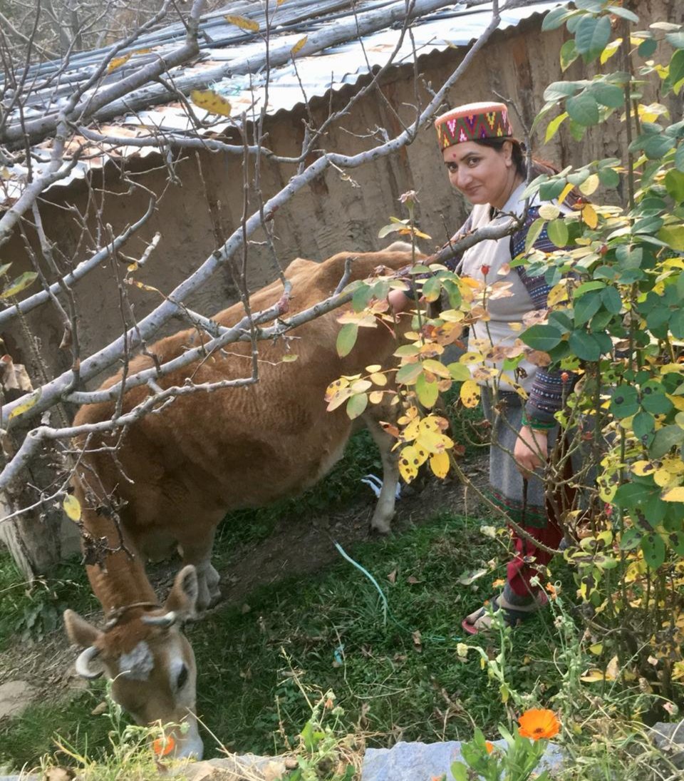 Amrita Chauhan tweet media