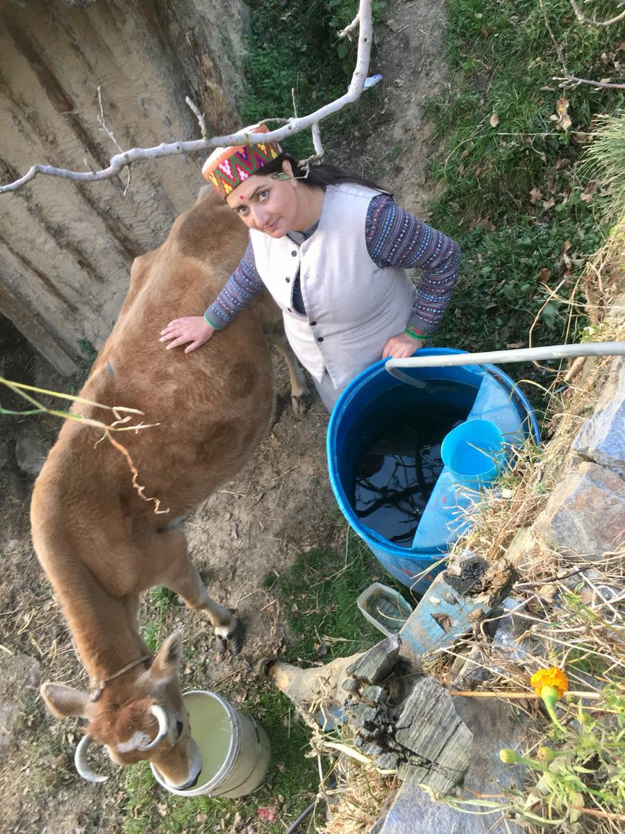 Amrita Chauhan tweet media