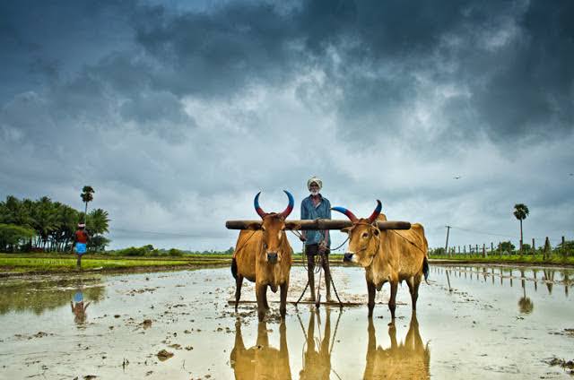 RJ_Parthiban's tweet photo. "உழைக்கும் இனமே உலகில் ஜெயித்திடும் ஒரு நாள்....
விழித்து இருந்தால் விரைவில் வருமே அந்த திருநாள்.."
#workersday
#RJ_Parthiban https://t.co/Knarl7CPq1
