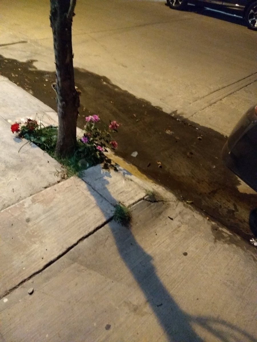 deareren's tweet photo. @Interapas   fuga de agua potable. Frente a azabache 1745 jardines del sur...y la ciudad sin agua!!! https://t.co/GweyGyZT9x