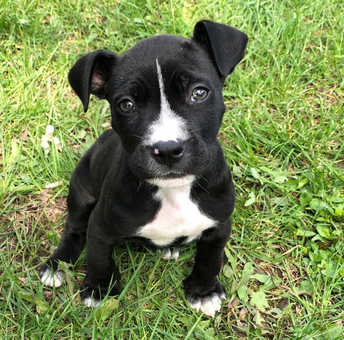 Visit Grove City tweet media