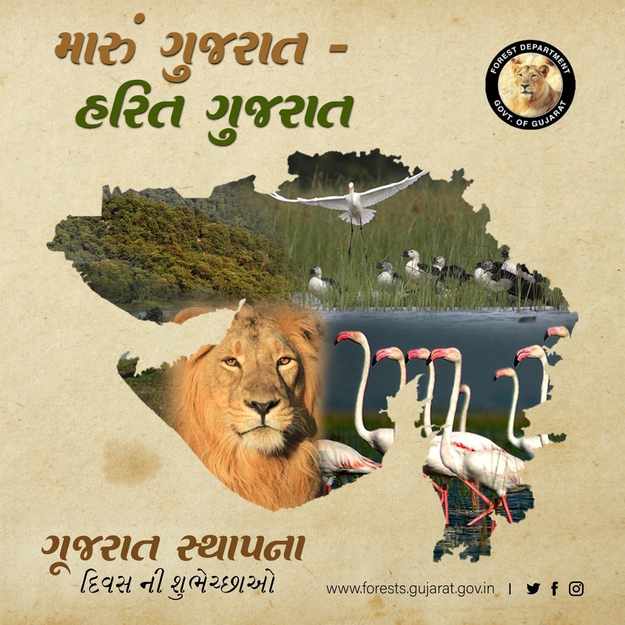 GujaratForestDept on Twitter: GujaratForestDept on Twitter: