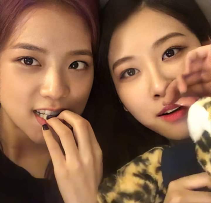 jnkduality's tweet photo. This is Jisoo and Rosé, but since it's not Jennie or Lisa, you're going to ignore it.

#BLACKPINK #JISOO #Rosé #Chaesoo @ygofficialblink https://t.co/E9AYdoy4xs