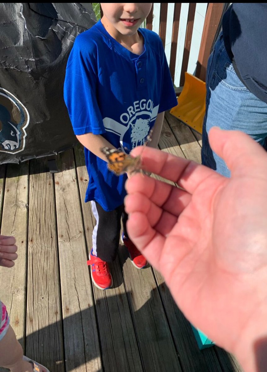 OES220's tweet photo. Micah and Addie Holaday had some butterflies to release today. Flat Mrs. Kann was able to be there for the experience. Thanks Micah!!! https://t.co/wtsWUJ2gk6