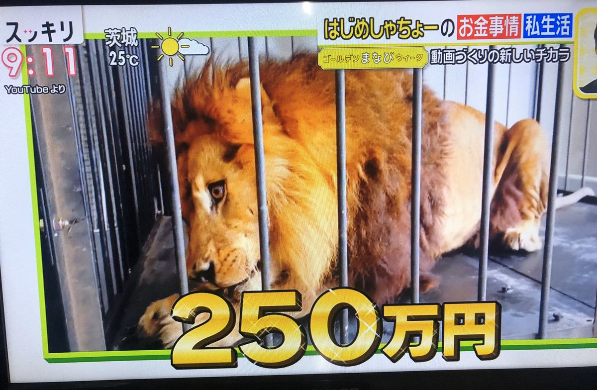 年5月1日 スッキリで はじめしゃちょー が話題に トレンドアットtv