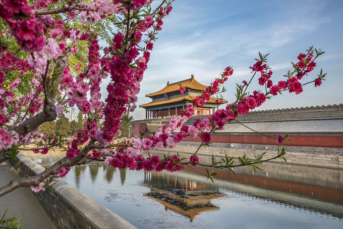 View image on Twitter