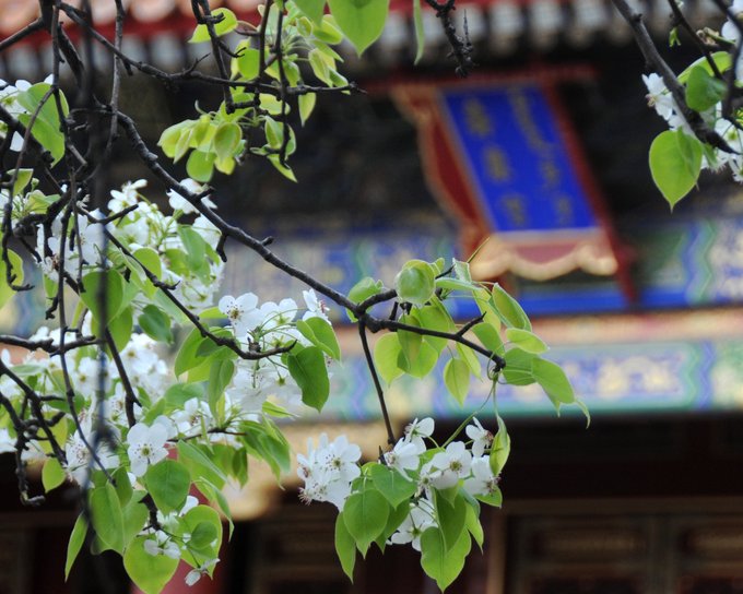 View image on Twitter