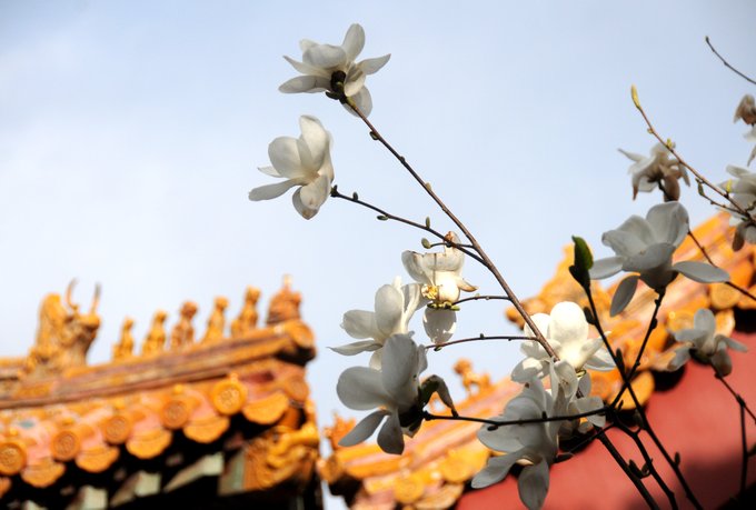 View image on Twitter