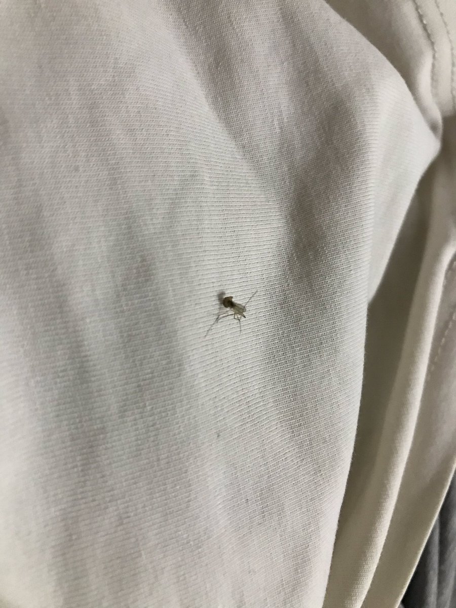 mission complete <a href="/elraenn/">Tuğkan Gönültaş</a> abi özür dilerim ama o da beni ısırdı abi