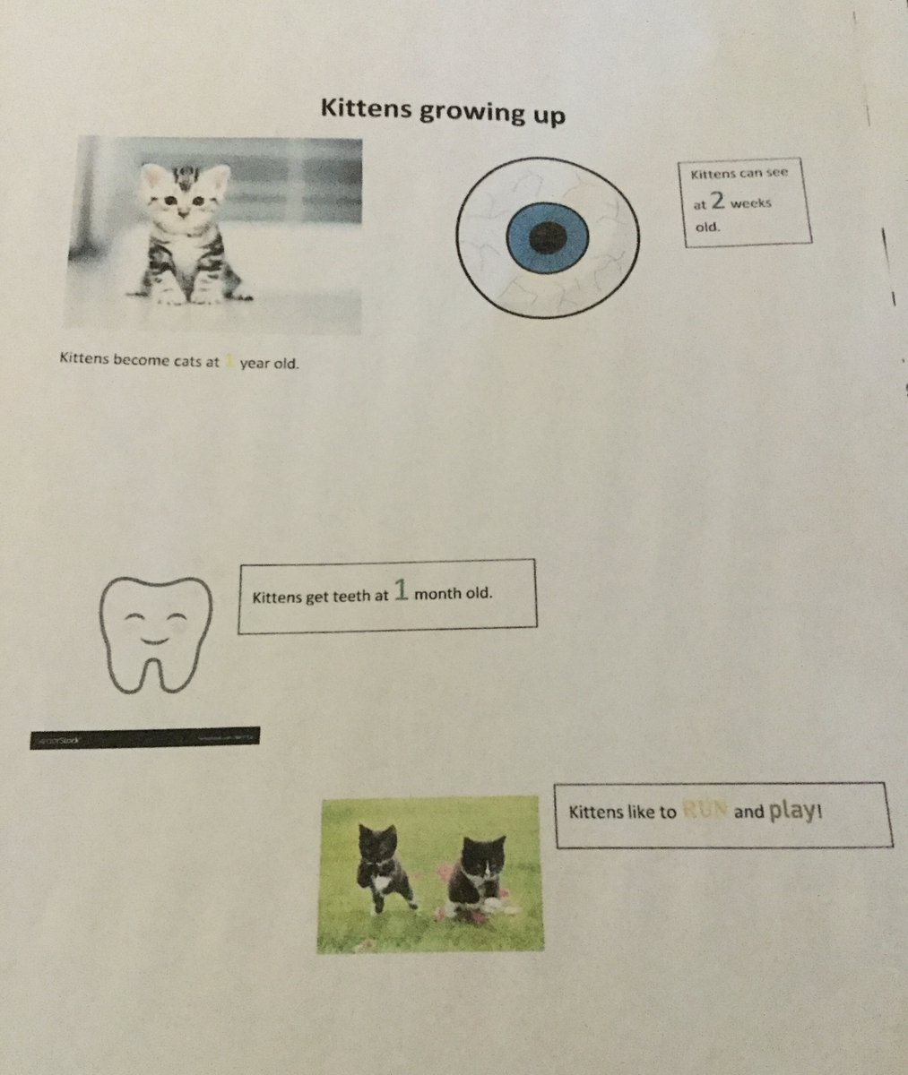 Pam jordan tweet media