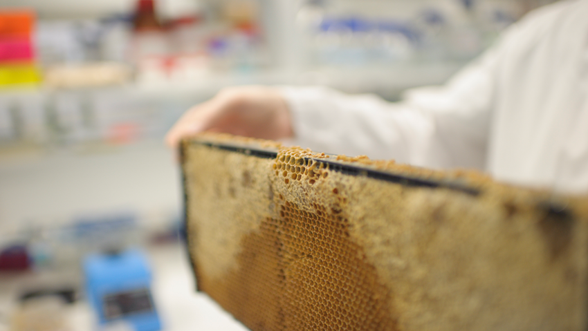 Comvita NZ (@comvitanz) on Twitter photo Our new #research partnership with the Riddet Institute <a href="/RiddetIns/">Riddet Institute</a> investigates the different bioactive properties of Mānuka honey, advancing our scientific knowledge of one of New Zealand’s key primary industry exports.
comvita.co.nz/blog-article/r…
#FoodScience Our new #research partnership with the Riddet Institute <a href="/RiddetIns/">Riddet Institute</a> investigates the different bioactive properties of Mānuka honey, advancing our scientific knowledge of one of New Zealand’s key primary industry exports.
comvita.co.nz/blog-article/r…
#FoodScience