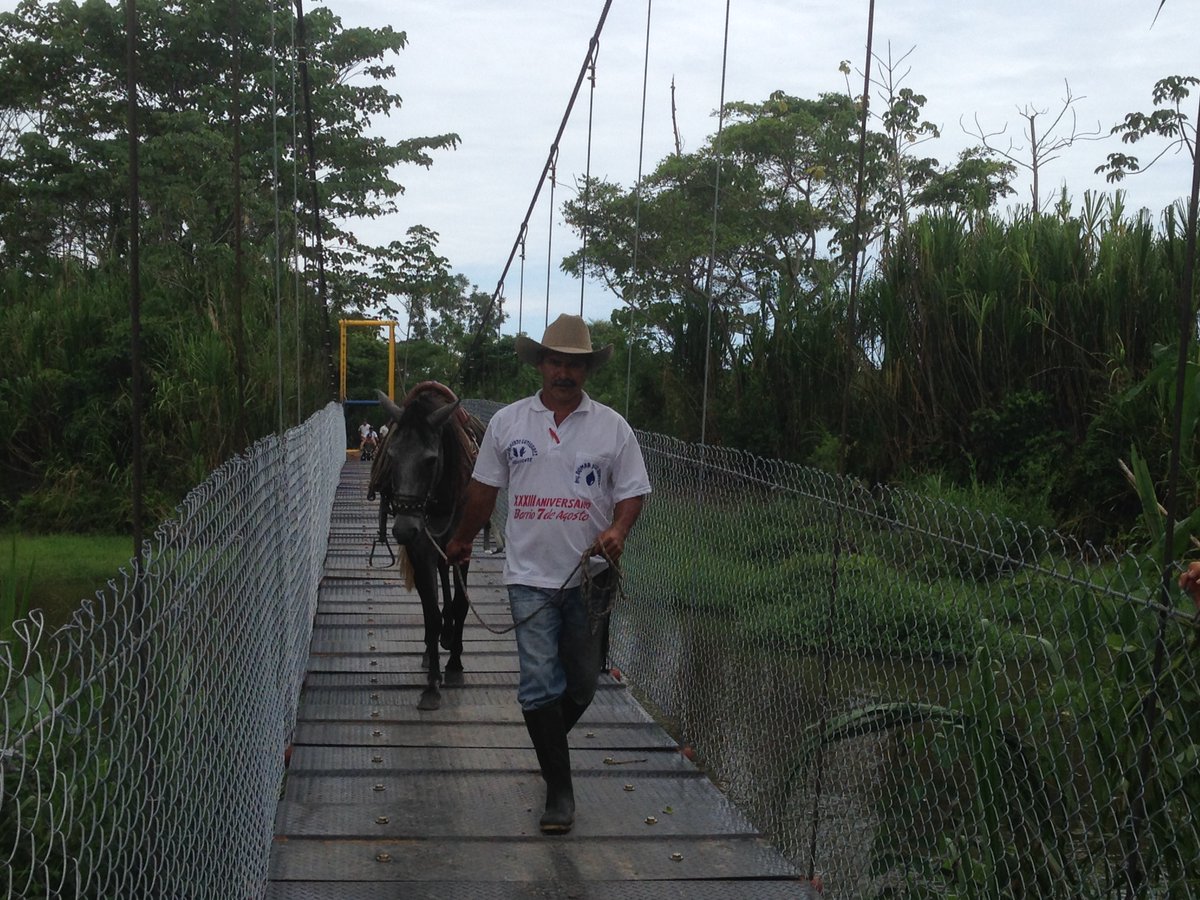 puenteros's tweet photo. #TBT RanchoPilon en Saravena Arauca. Nuestro puente más al ORIENTE de Colombia. 55 metros que comunican 60 familias. Construido en 2014 con mano de obra comunitaria y aportes de Fundación GE.
124 historias y 21 años Uniendo Caminos
#puenteros #puentecolgante #TrabajoComunitario https://t.co/csfNVjjGwX