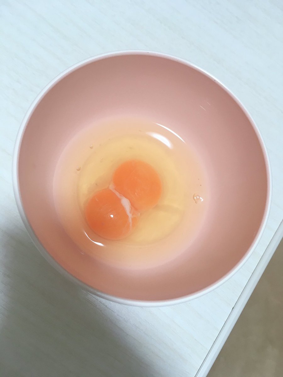 卵双子 卵双子