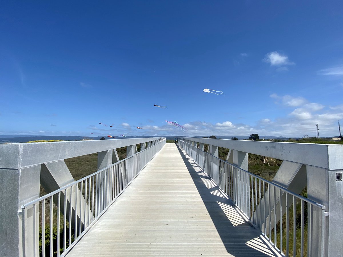 SWatsonA1's tweet image. Flying kites along Eureka’s waterfront trail this afternoon. What a beautiful city and bay. We’re lucky it’s our home.