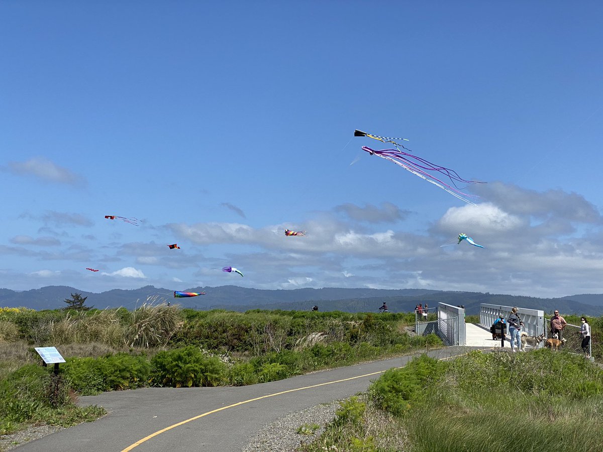 Flying kites along Eureka’s waterfront trail this afternoon. What a beautiful city and bay. We’re lucky it’s our home.