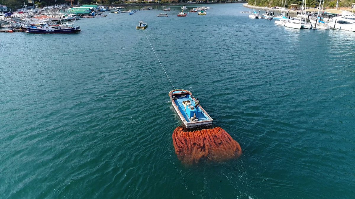 docu3days's tweet image. 날이면 날마다 볼 수 있는 멍게가 아닙니다~
시원한 통영 바다와🌊 탐스러운 멍게의 조화😍
⠀
멍게 어민들은 이 바쁜 한 철을
어떻게 보내고 있을까요~?
(※상상 그 이상으로 신남 주의※)
⠀
바로 오늘 밤 10시 50분!
KBS1 에서 공개합니다!🤩