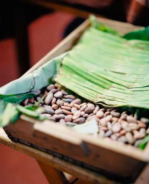 Trama_Textiles's tweet photo. If you needed more of an excuse to eat chocolate check out blog post on its health benefits. We have even provided a little recipe for Mayan Hot Cocoa which will have your mouth watering!

Blog post: https://t.co/k7PE8xfBZP

Photography: https://t.co/Q5qzPn4w03 https://t.co/Ch4hFHZZOG