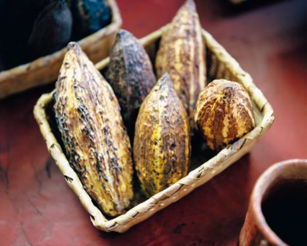 Trama_Textiles's tweet photo. If you needed more of an excuse to eat chocolate check out blog post on its health benefits. We have even provided a little recipe for Mayan Hot Cocoa which will have your mouth watering!

Blog post: https://t.co/k7PE8xfBZP

Photography: https://t.co/Q5qzPn4w03 https://t.co/Ch4hFHZZOG