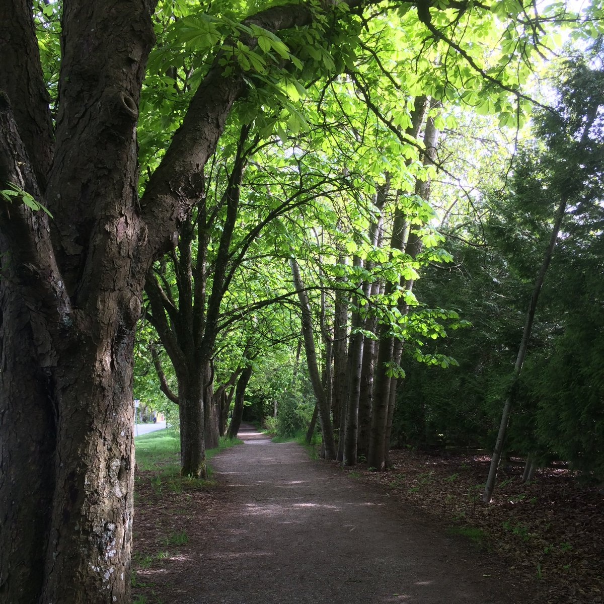 Katie MacDonald tweet media