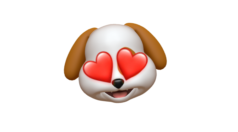 PadmaTheBeagle's tweet photo. Mummy’s home and she’s so much better! Tanks for all your tots and prayers! ❤️ https://t.co/snaMMEA4Ku