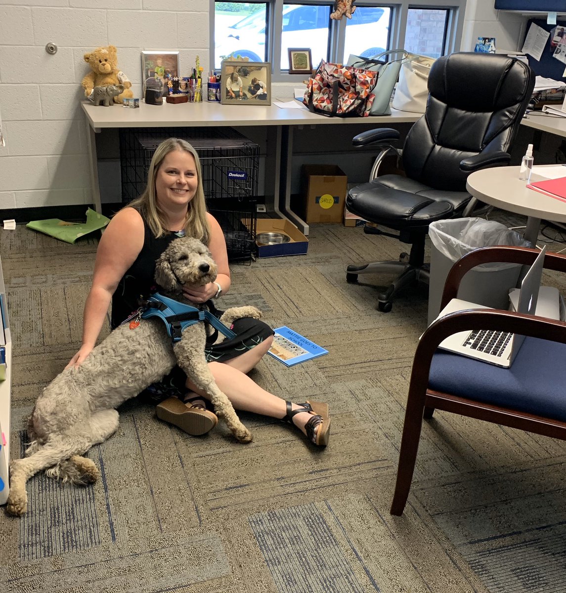 FssdMattie's tweet photo. It was so good to see the first graders on Zoom today! My handler read, “Mattie Goes to School” a story all about me and what I do at school each day. The students loved it! https://t.co/buCclLwf33