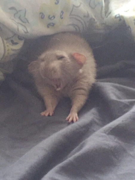 undomial08's tweet image. 