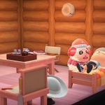 なんて顔してるのwベットを奪われたちゃちゃまるの顔が悲壮感ありすぎw
