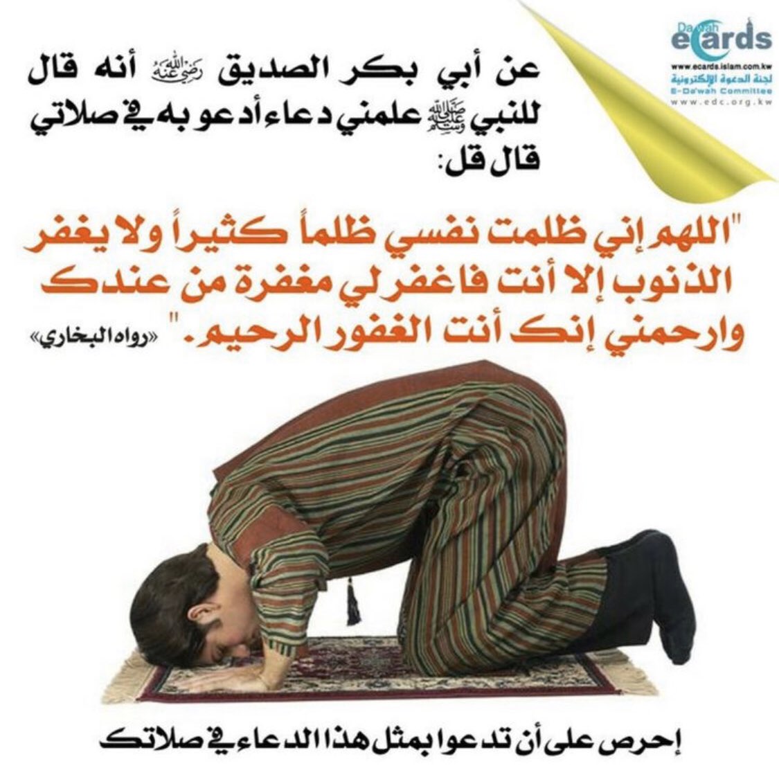 بدر الفدعاني (@badrmasad88) on Twitter photo 