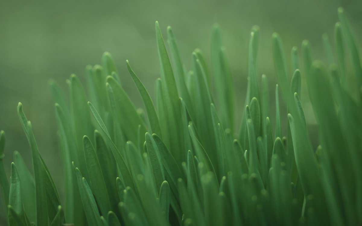 pymedix's tweet photo. Happy last day of #April to everyone! #Pymedix newsletter is out. You can read in the link. https://t.co/H5TqMavLFY
#Autofuse https://t.co/qxv8TpWaQ6