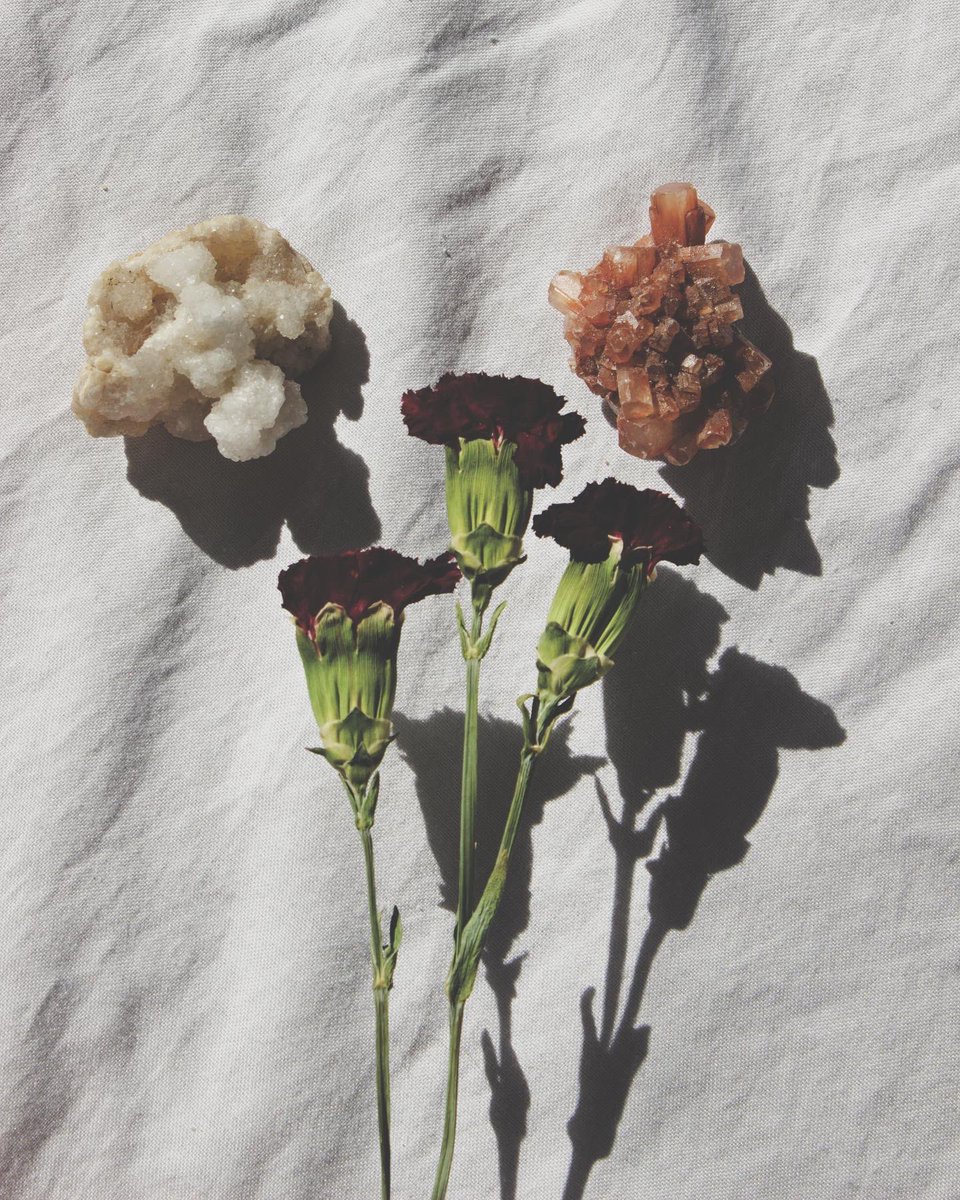 CWUPulse's tweet photo. Crystal How-Toโs: What you need to know about how to use crystalsโจ๐๐
Stay tuned for the insight and information on crystals when our magazine is published on May 13th ๐ก
.
.
.
๐ธ: Kassandra Eller
#CrystalWork #CrystalHealing #CrystalBenefits #CrystalCollection #PULSEMagazine https://t.co/dpUKlXMbIP