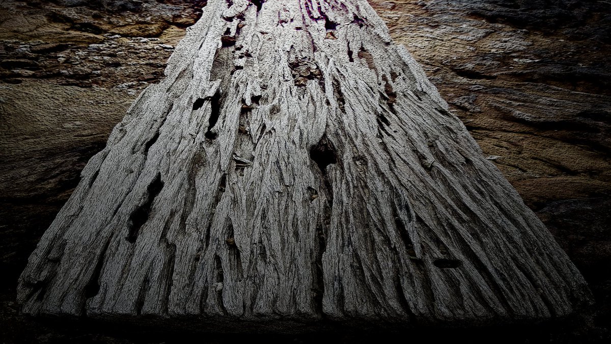 DanielW99307120's tweet photo. natural aged tree wood skin texture photography #piceyed #freelance #freelancer  computer graphics https://t.co/WfhQL8UkJ7