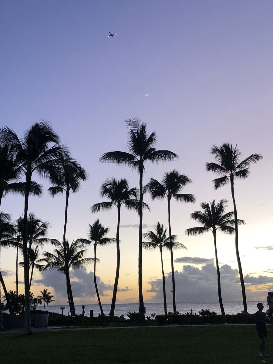 Morgan_Rae_13's tweet photo. I’d be thrilled to be back in Hawaii right about now.🏝 https://t.co/T4BuxaIEpa