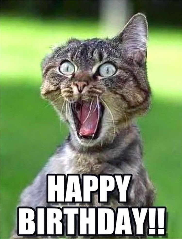 CafePIECI's tweet photo. Mums šodien 18🥳 https://t.co/rBe6TC81T9