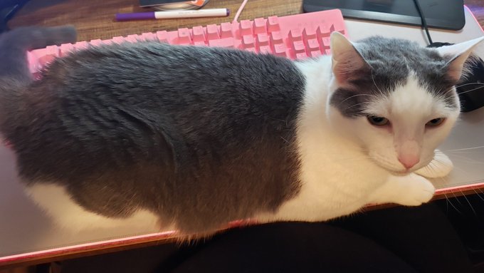 Always when I sit down to get work done. https://t.co/3khCdZek50