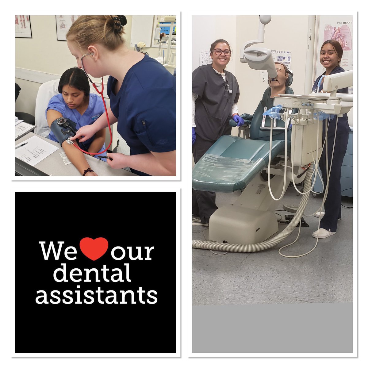 ACI Medical & Dental School tweet media