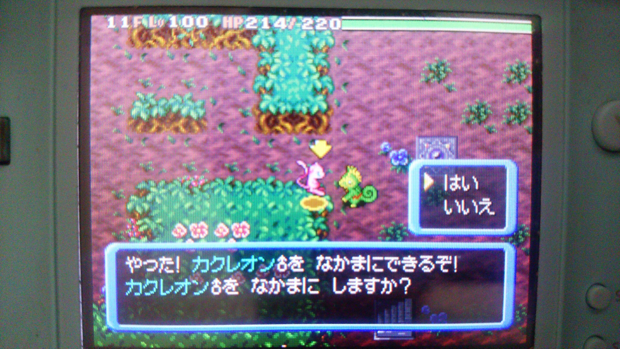 ポケダン時闇 Twitter Search Twitter