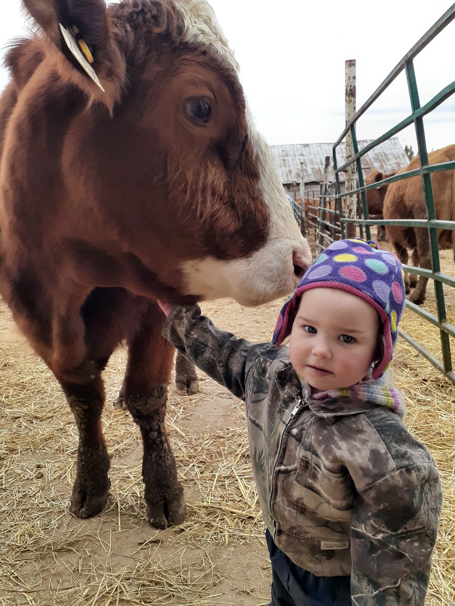 @CdnCattlemen <a href="/mclaudebibeau/">Marie-Claude Bibeau</a> For us today &amp; for the next gen to be viable as beef farmers... 
We need to: 
#UncapRMP in #ontag 
#FixPriceInsurance in #wcdnag 
Re-deploy the set aside program. 
Action is urgently requested #YoungFarmers <a href="/Shea_8/">Marie Shea</a>  
<a href="/mclaudebibeau/">Marie-Claude Bibeau</a>
<a href="/LaurieScottPC/">Laurie Scott</a> 
<a href="/BarryDevolin_MP/">Barry Devolin</a> 
<a href="/erniehardeman/">Ernie Hardeman</a>