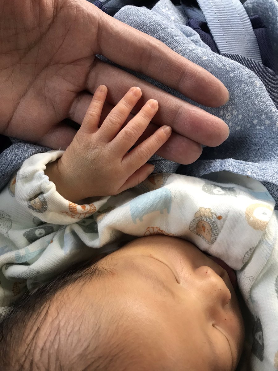 Mini_DF's tweet image. 初めまし手