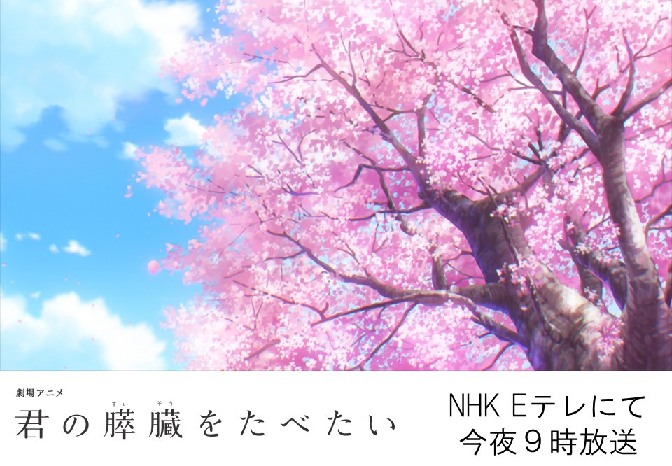 劇場アニメ 君の膵臓をたべたい 公式 A Twitter おはようございます 今夜 劇場アニメ 君の膵臓をたべたい が地上波初放送です 夜9時からnhk Eテレにて おうち時間のお供にぜひ キミスイ 劇場アニメ 君の膵臓をたべたい 公式 A Twitter おはようございます 今夜 劇場アニメ 君の膵臓をたべたい が地上波初放送です 夜9時からnhk Eテレにて おうち時間のお供にぜひ キミスイ