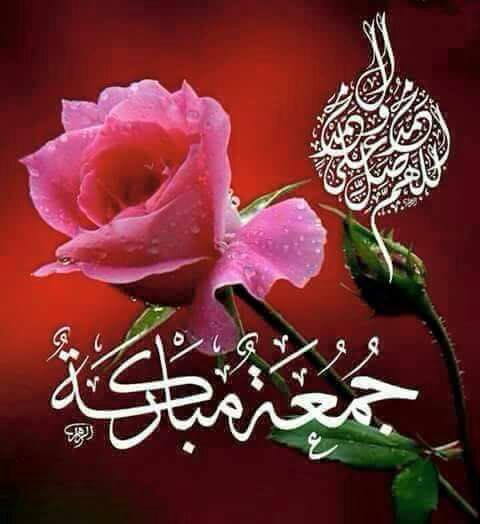 صباح الفل