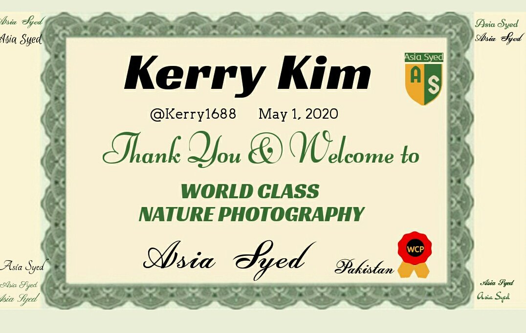 <a href="/Kerry1688/">Kerry Kim</a>