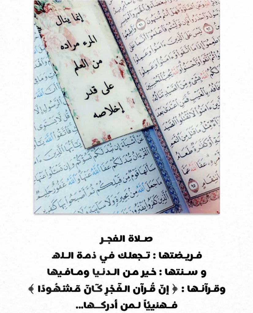 اللهم إجعل القران ربيع قلوبنا ونور صدورنا
وجلاء أحزاننا وذهاب همومنا وغمومنا🥀