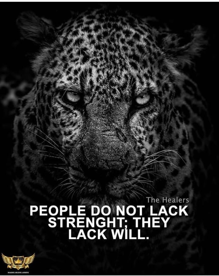 QuotesNation5's tweet photo. The Healers
PEOPLE DO NOT LACK
STRENGHT; THEY
LACK WILL.
  Android App: https://t.co/EOSEBFFlZZ  iOS App: https://t.co/apOPAccom1 ThinkRich #MenMotivation QuotesApp #MenMotivation #AngerManagementQuotes #SuccessSecrets #motivationalquotes #quoteoftheday #nainaapps https://t.co/AC4BXRy7Qb