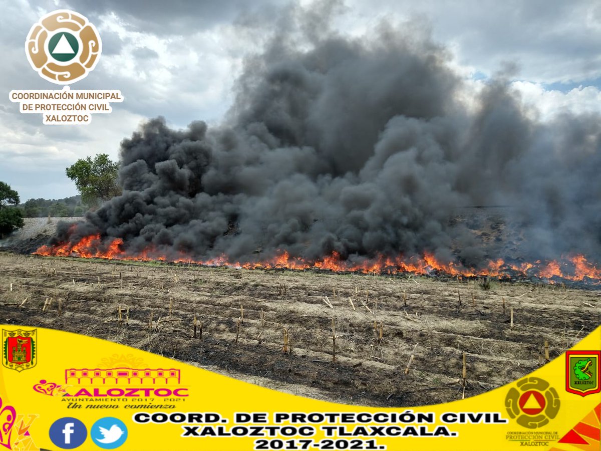 PcXaloztoc's tweet image. #ControlDeIncendio🔥 | El día de ayer, @PcXaloztoc, @JovConFuturo, Pc Tocatlán; @SpXaloztoc; Policía Municipal de Tocatlán, Terrenate; @SSC_TLX y @BomberosTlx. Acudieron al llamado debido a un incendio de llantas intencional en el predio denominado "Teometitla" en Xaloztoc.