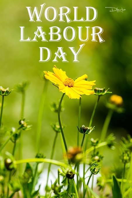 ayoob_rushdha's tweet photo. Happy #May01st!!
Find somthing you love to do and you'll never have to work a day in your life.
Wishing everyone a very happy Labour day2020!๐
#LabourDayMay2020
#workathome! https://t.co/8376Nchr9e