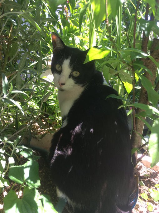 Twitterのコスプレ画像17