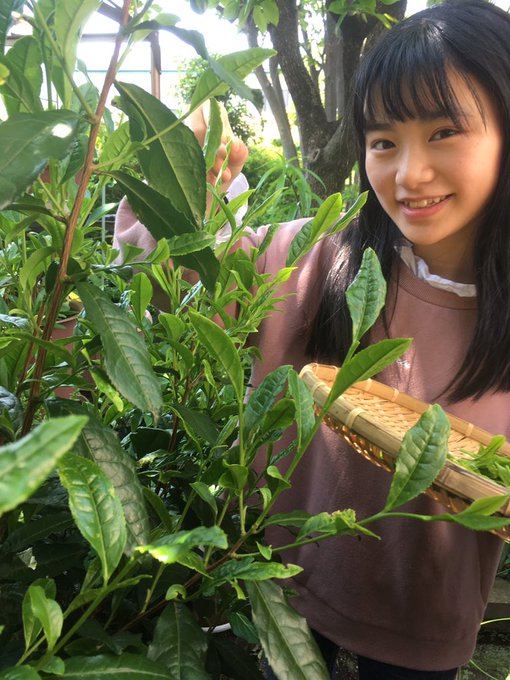 Twitterのコスプレ画像14