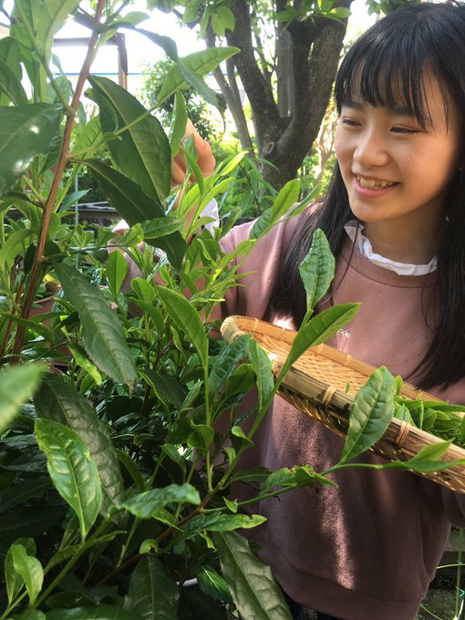 Twitterのコスプレ画像15