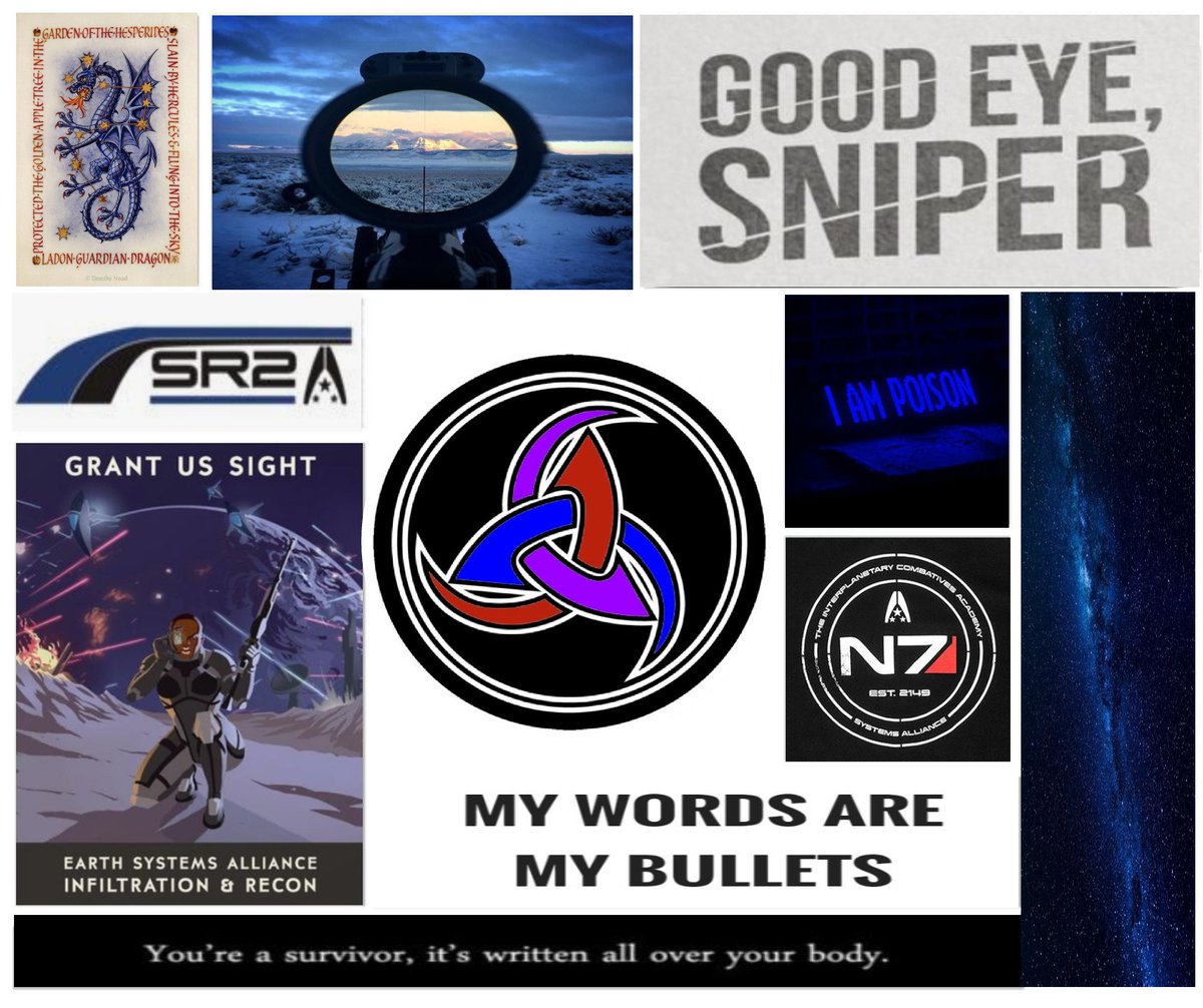 "The galaxy is depending on us, even if it doesn't know it yet. And I'm not going to sit around waiting for them to wake up." 

Lieutenant Roark Shepard
-Infiltrator class
-Earthborn Paragon
-Sole Survivor background
-Ships with Jack or Chem
-Shep OC
-2nd Member of the #ShepTrio