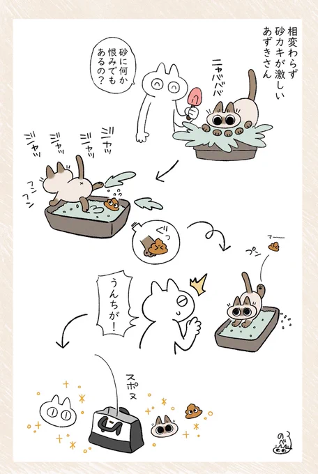 フライングうんち #シャム猫あずきさんは世界の中心 